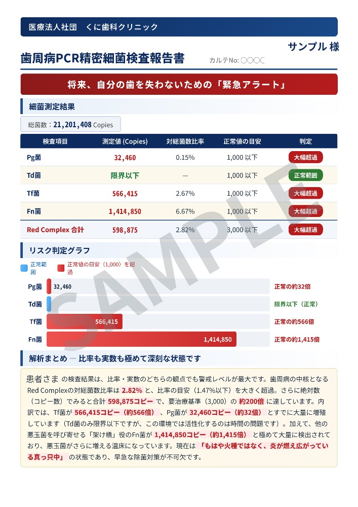 歯周病PCR精密細菌検査報告書のサンプル 細菌測定結果とリスク判定グラフ