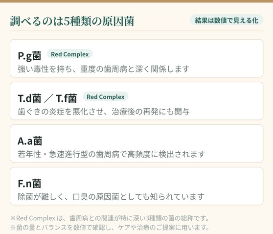 PCR検査で調べる5種類の原因菌 P.g菌は強い毒性を持ち重度の歯周病と深く関係 T.d菌とT.f菌は歯ぐきの炎症を悪化させ再発にも関与 A.a菌は若年性急速進行型の歯周病で高頻度に検出 F.n菌は除菌が難しく口臭の原因菌 P.g菌T.d菌T.f菌はRed Complex